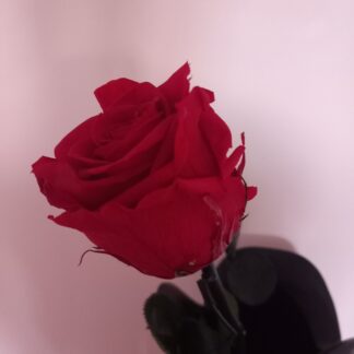 Pour la meilleure des mamans