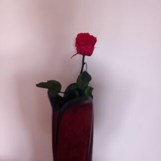 une rose éternelle rouge