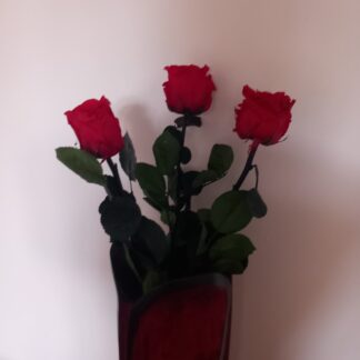 bouquet de trois roses éternelles rouges